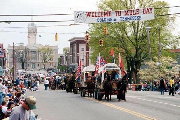 Mule Day parade